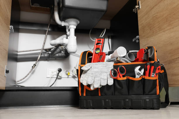Best Sprinkler Systems  in Lathrop, MO